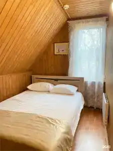 Клевер - 159