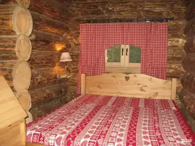 Дубки - 257