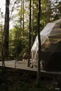 Villy Uley Karelia (Вили Улей Карелия) - 34