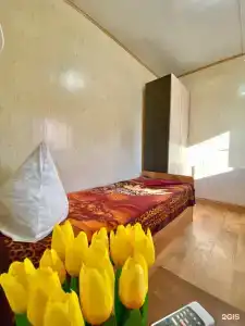 Тортуга - 23