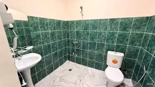 Дельфин2 - 86