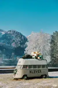 Клевер - 45