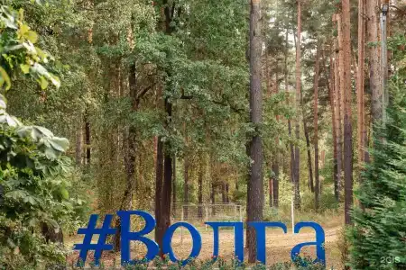 Волга - 16