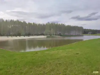 Птица счастья - 51