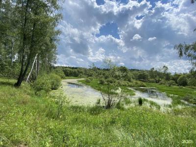 Ягодное - 43