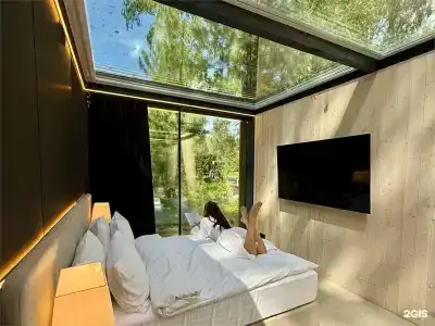 Pinewood resort & SPA - 88