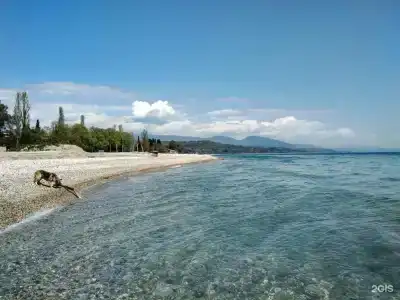 у Ларисы - 7
