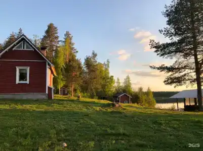 Медвежья Лапа - 31