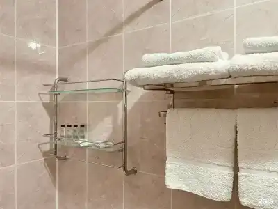 Звёздный - 215