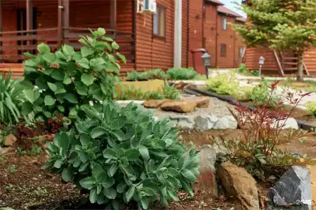 Алые паруса - 185