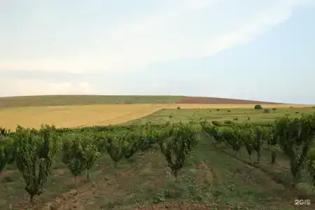 Солнечный свет - 2