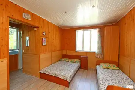 Зелёный дворик - 10