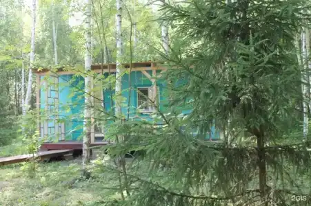 Лесной сон - 113