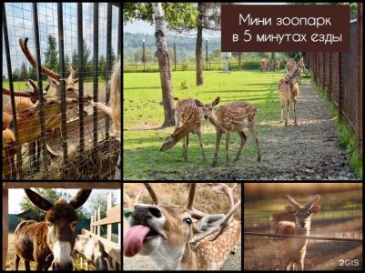 Чайный Дом - 91