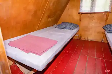 Полинка - 76