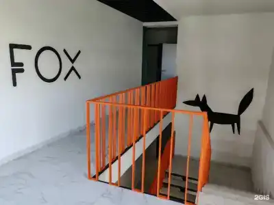Fox - 18