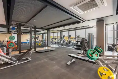 Владимировский - 16