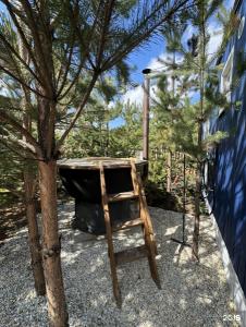 BamBoo Village - 117
