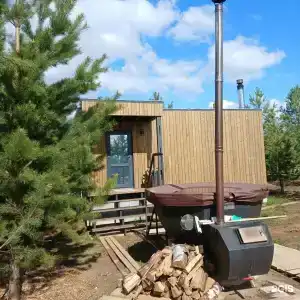 12 сосен - 153