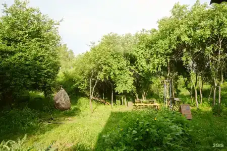 Барс - 116