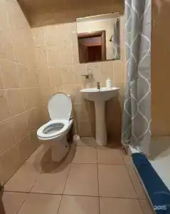 Ока - 20