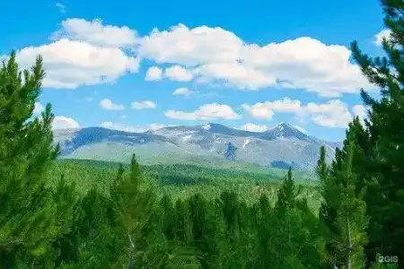 Алтай Эко Кедр - 83