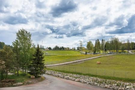 Черные камни - 107