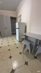 Дельфин2 - 50
