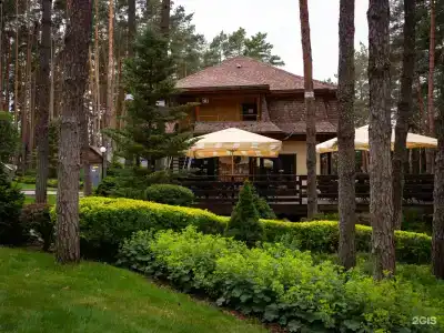 Донской лес - 6