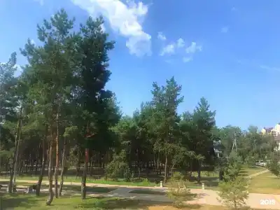 Панорама - 38
