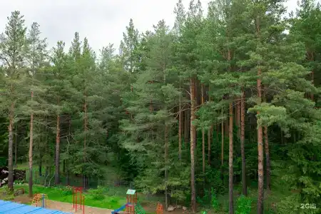 Лазурит - 220