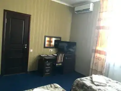 Сильвер - 20