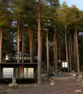 Taleo Home - 1