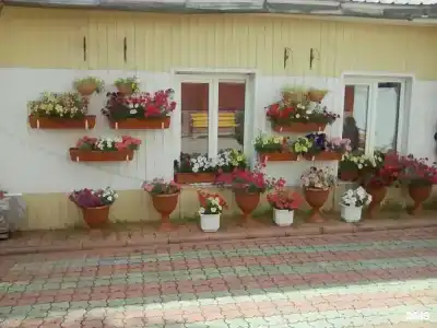 Восход - 9