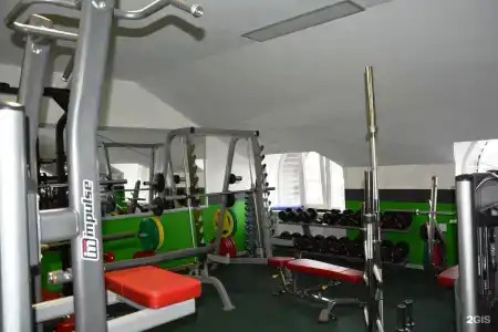 Алиса - 7