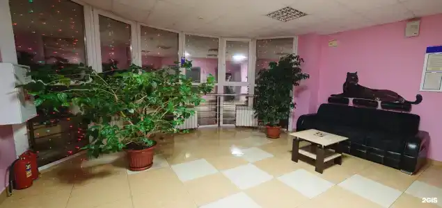 Пантера - 6