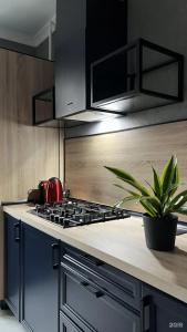 в историческом центре Амалиенау - 25