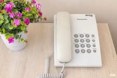 Арена - 236