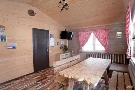 Дикий Гусь - 38