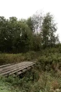 Дома лучше дома - 9