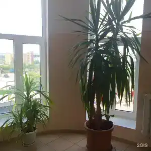 Надежда - 54