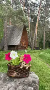 Иванова дача - 79