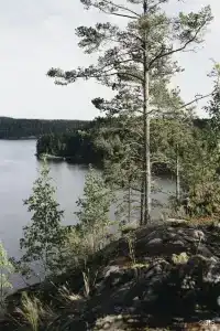 Villy Uley Karelia (Вили Улей Карелия) - 13