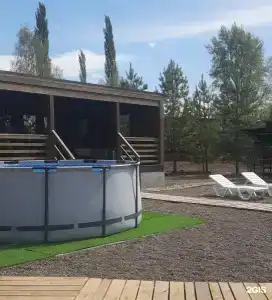 12 сосен - 152