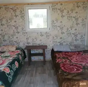 Янтарная - 64