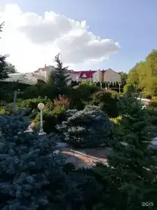 Вишневая поляна - 38