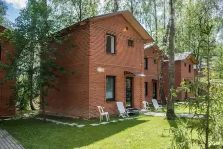 Золотая рыбка - 181