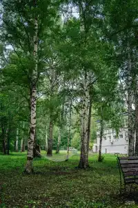Березки - 2