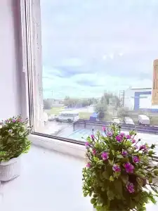 89 регион - 19