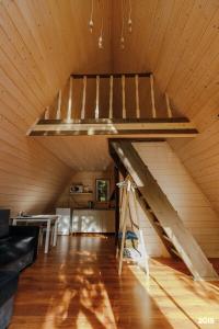 Белка - 127